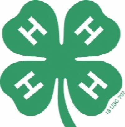 4H clover logo