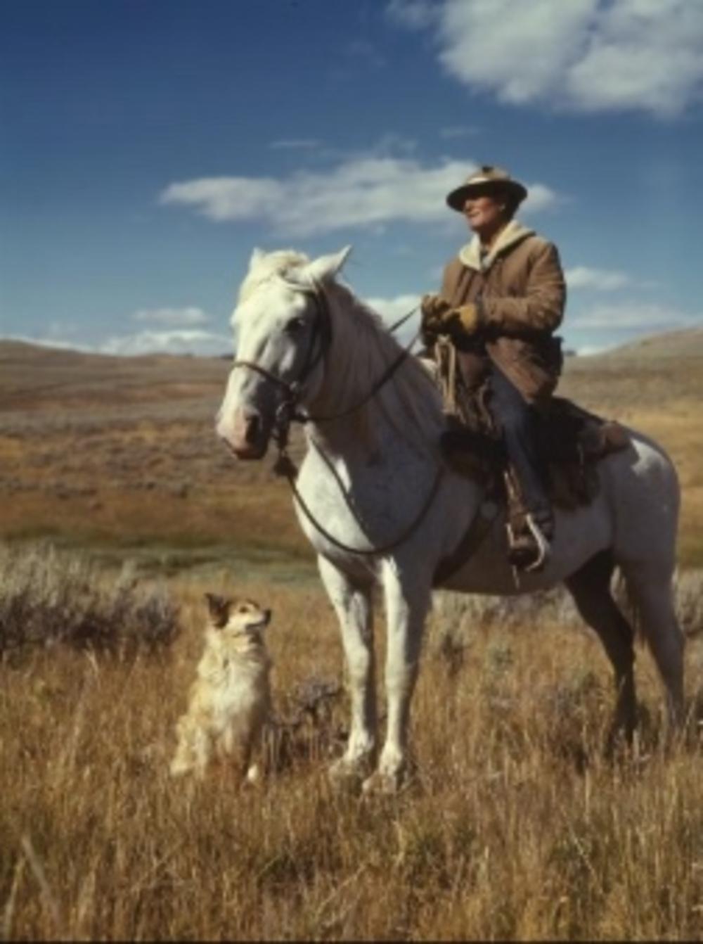 Shepherd on horseback and his dog