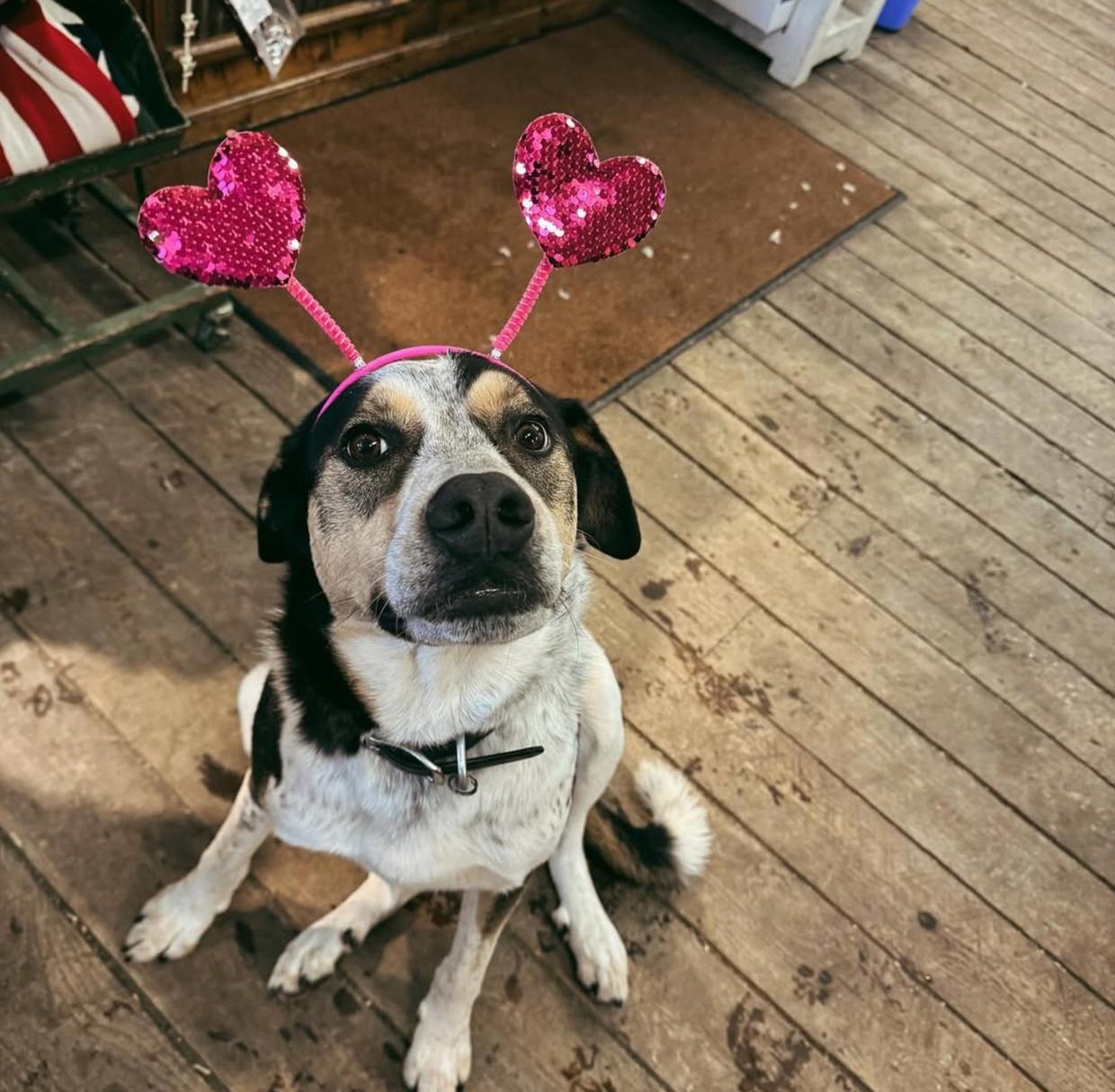 Happy Valentine's