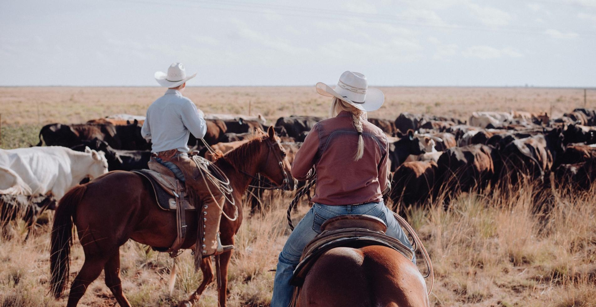 Ranch