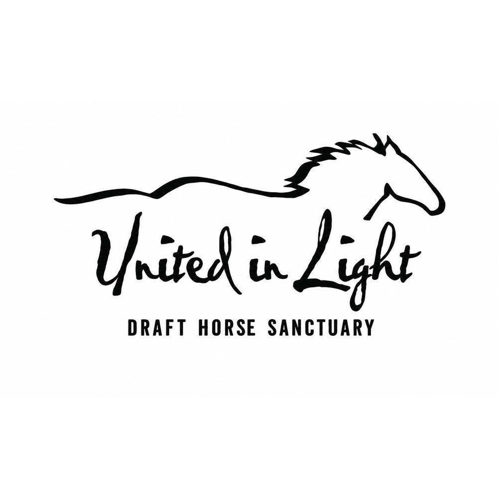 United In Light Logo